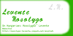 levente mosolygo business card